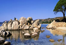 Ming连续二十场比赛得分爆发挺进下一轮，MAD挑战极限！